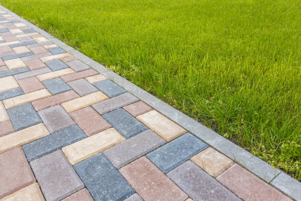 Best Driveway Paving Contractor  in Ranchester, WY